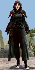 Speaker Lieutenant 3.jpg
