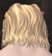 Unique norn male hair back 7.jpg