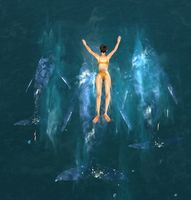 Whale Spirit Glider.jpg