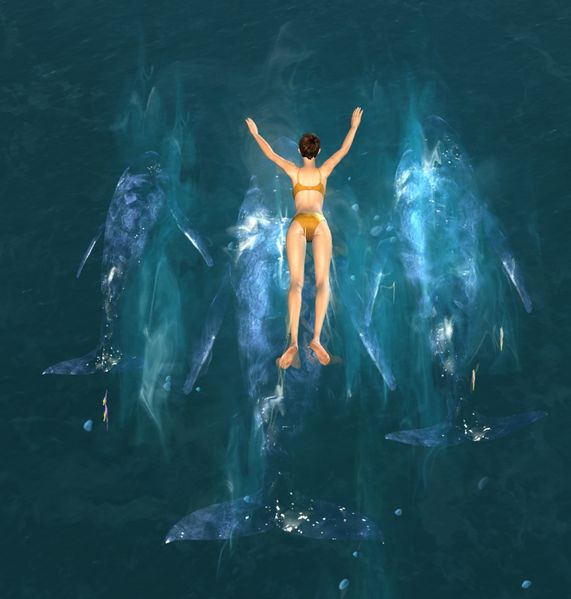 File:Whale Spirit Glider.jpg