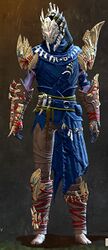 Woad armor (medium) sylvari male front.jpg