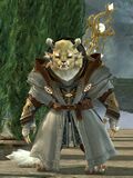 Astral Ward Mage charr female 1.jpg