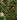 Bjorn Thicket map.jpg