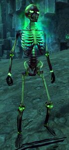 Bone Soldier.jpg