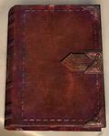 Book (leather 2).jpg