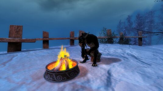 Campfire Chair charr male.jpg