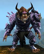 Crystal Arbiter Outfit