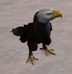Eagle.jpg