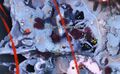 Thumbnail for version as of 07:32, 8 November 2023