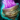 Gift of Glory