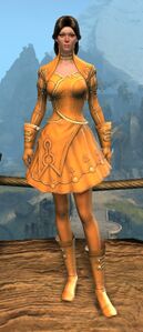 Appearance on light armor.