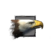 Juvenile Eagle.png