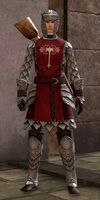 Ministry Guard male (rifle).jpg