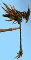 <!--LINK'" 0:13-->