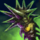 Nightmare Mace.png