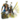 Noble Courtier Appearance Package