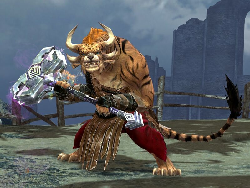 File:Warrior (PvP).jpg