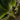 Zhaitan's Wing.png