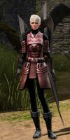 Bandit Cleric female.jpg