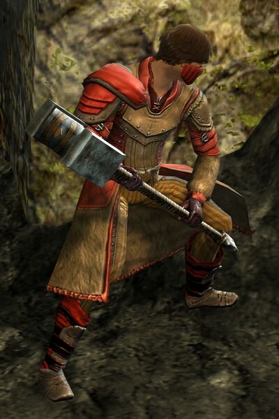 File:Bandit male 2 (hammer).jpg