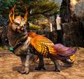 Riderless Griffon mount.