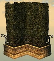 Hedge Corner front.jpg