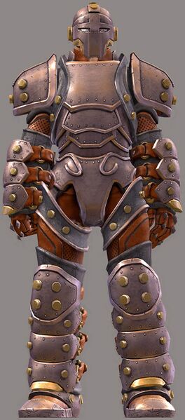 File:Ironclad Outfit human male front.jpg