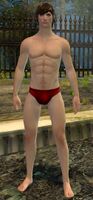 Lord Faren (Southsun).jpg