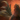 Lucky Rooster Lantern.png
