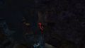 Noran Guide 5.jpg