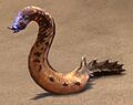 Sand Eel 2.jpg