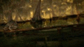 Thumbnail for version as of 22:00, 19 June 2010