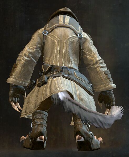 File:Traveler's Outfit charr female back.jpg