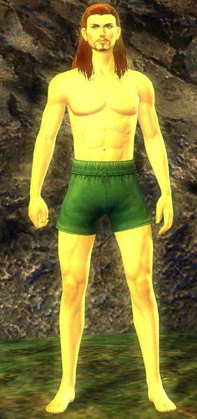 File:Yellow Hylek Potion Transformation.jpg