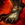 Archon Boots.png