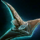 Astral Ward Helm.png