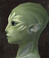 Exclusive face - sylvari female 6 side.jpg