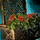 Lattice Planter with Red Petunias.png