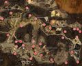 Thumbnail for version as of 20:56, 4 May 2016