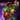 Ornamented Focus.png