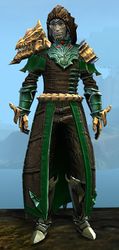 Refined Envoy armor (medium) sylvari male front.jpg