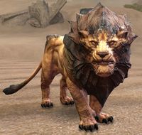 Sand Lion.jpg