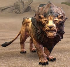 Sand Lion.jpg