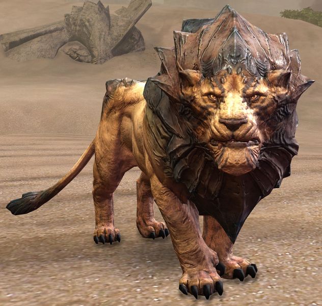 File:Sand Lion.jpg