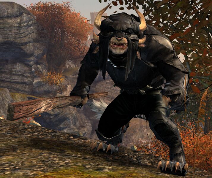 File:Skelk Trainer.jpg