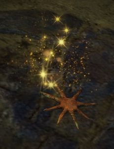 Starfish.jpg