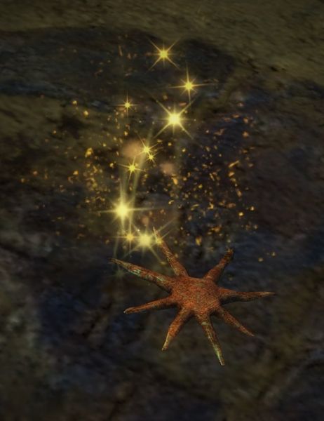 File:Starfish.jpg
