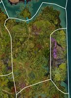 The Skein map.jpg