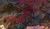 User Find And Seek Scarlets lair dragon painting.jpg
