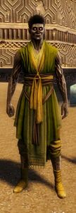 Free Awakened Citizen (male).jpg